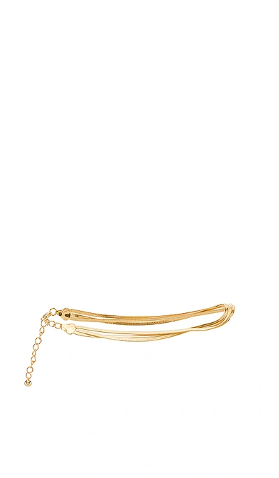 8 Other Reasons Lila Anklet In Gold