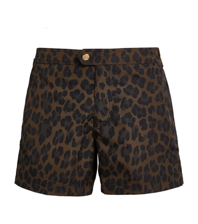 Shop Tom Ford Tailored Leopard Print Swim Shorts