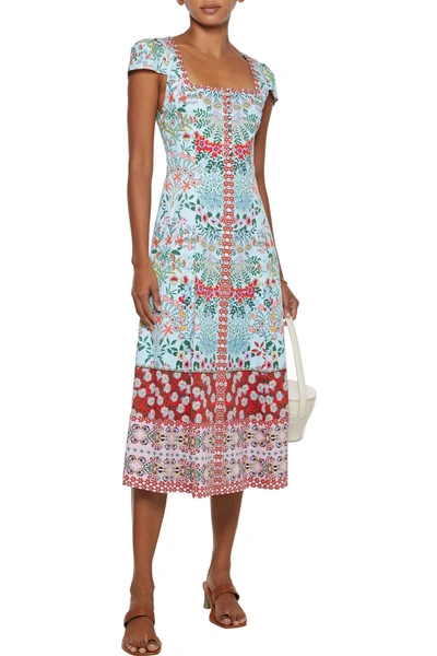 Alice And Olivia Estrella Printed Cotton-blend Midi Dress In Sky Blue |  ModeSens