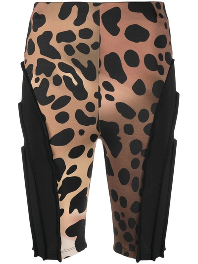 Shop Just Cavalli Leopard-print Panelled Cycling Shorts In Brown