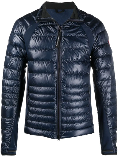 Shop Canada Goose Hybridge Lite Padded Jacket In Black