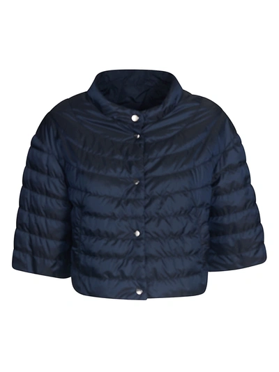Shop Max Mara Disoft Padded Jacket In Blu