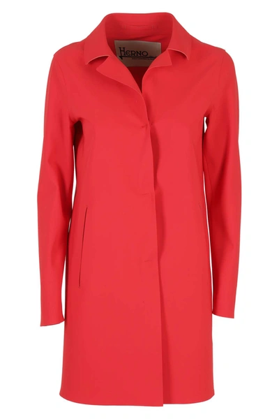 Shop Herno Coat In Rosso