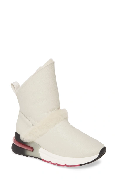 Shop Ash Klima Genuine Shearling Boot In Off White/ Off White