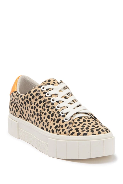 Shop Dolce Vita York Lace-up Platform Sneaker In Leopard Canvas