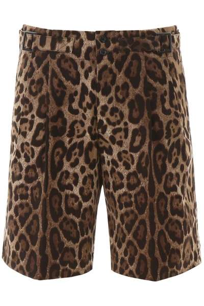 Shop Dolce & Gabbana Leopard Print Bermuda Pants In Leo New
