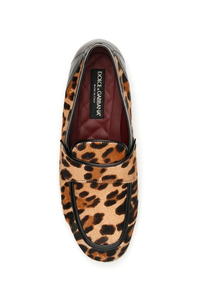 Shop Dolce & Gabbana Leopard Print Erice Loafers