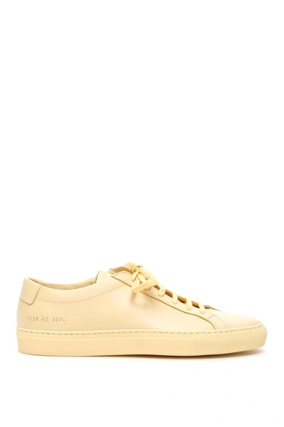 Shop Common Projects Original Achilles Low Sneakers In Yellow
