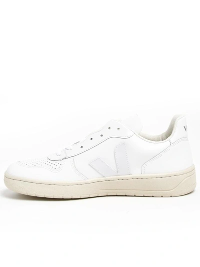 Shop Veja Sneakers V-10 Bianche In White