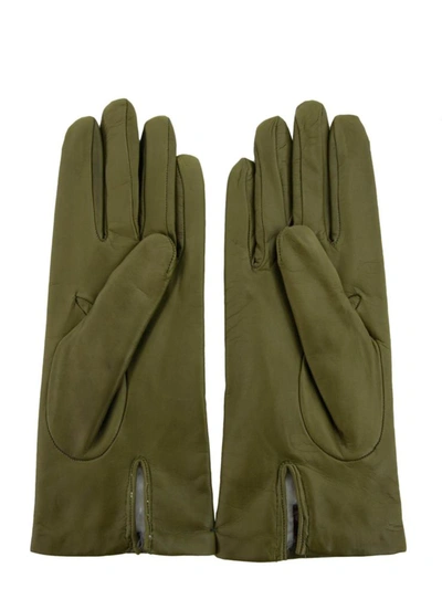Shop Sermoneta Gloves Nappa Leather Glove In Green