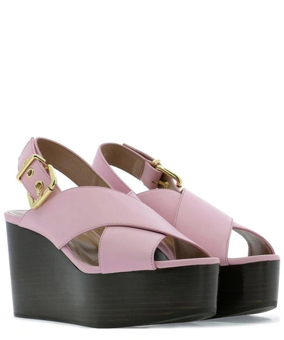 Shop Marni Leather Wedge With Ankle Strap In Pink