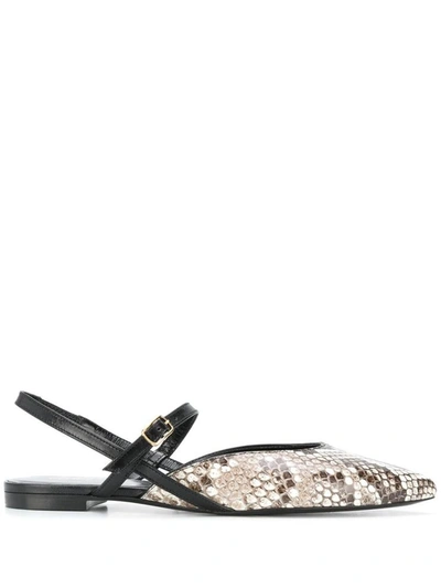 Shop Celine Céline Flat Shoes In Naturale