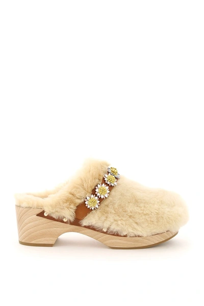 Shop Fabrizio Viti Jean Daisy Clogs In Beige