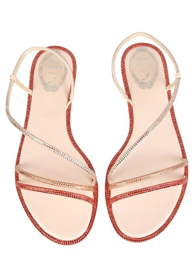 Shop René Caovilla Low Satin Sandals In Pink
