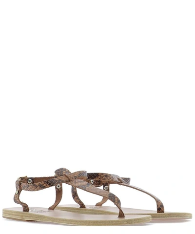 Shop Ancient Greek Sandals "lito" Leather Sandal In Brown