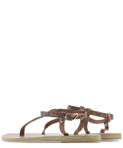 Shop Ancient Greek Sandals "lito" Leather Sandal In Brown