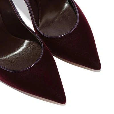 Shop Casadei Blade In Sassicaia