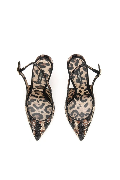Shop Dolce & Gabbana Lori 90 Slingbacks In Leopard