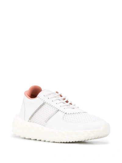 Shop Giuseppe Zanotti Sneakers White