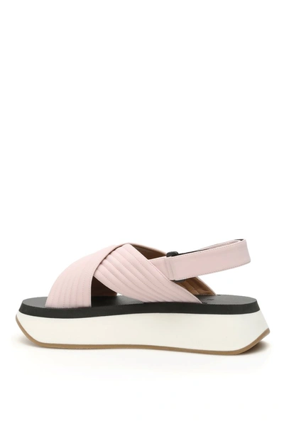 Shop Marni Platform Sandals In Light Rose
