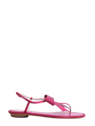 Shop René Caovilla Flips With Bow In Fuchsia