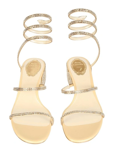 Shop René Caovilla Cleo Sandals In Gold