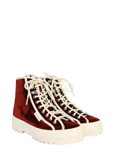 Shop Alexa Chung X Superga High Top Alpina Sneakers In Bordeaux