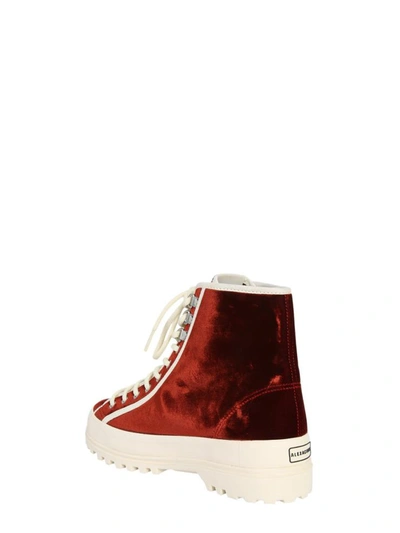 Shop Alexa Chung X Superga High Top Alpina Sneakers In Bordeaux