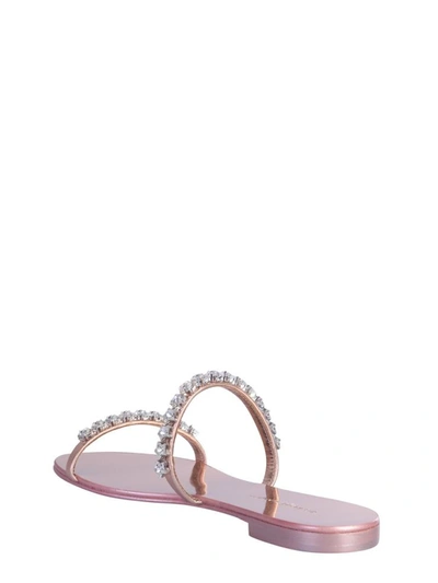 Shop Giuseppe Zanotti "comet" Sandals In Pink