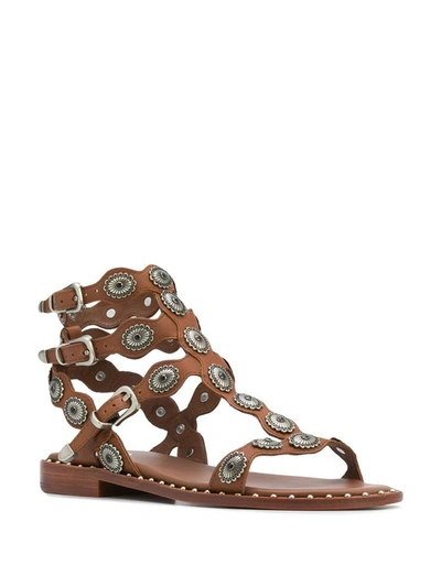 Shop Ash Sandals Leather Brown