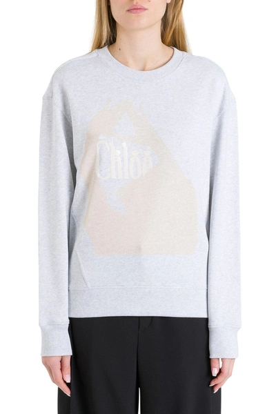 Shop Chloé Sweatshirt With Print On Front In Grey