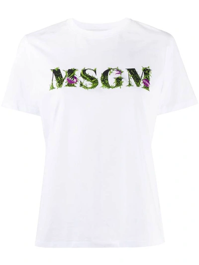 Shop Msgm T-shirts And Polos White