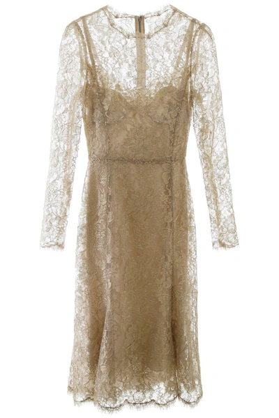 Shop Dolce & Gabbana Lace Midi Dress In Oro