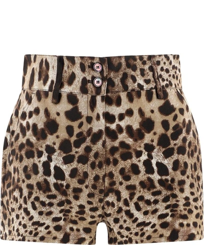 Shop Dolce & Gabbana Shorts With Animal Print In Beige