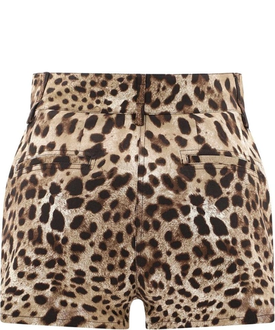Shop Dolce & Gabbana Shorts With Animal Print In Beige