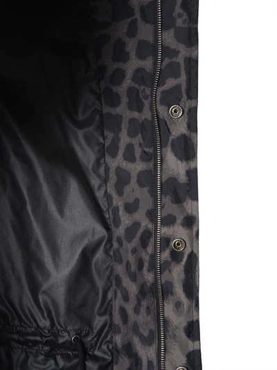 Shop Saint Laurent Light Parka With Animalier Print In Black