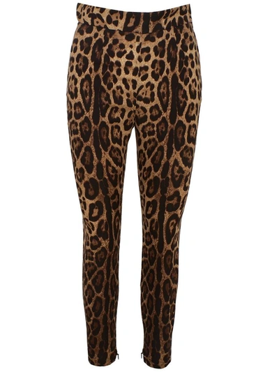 Shop Dolce & Gabbana Leopard-print Pants In Brown