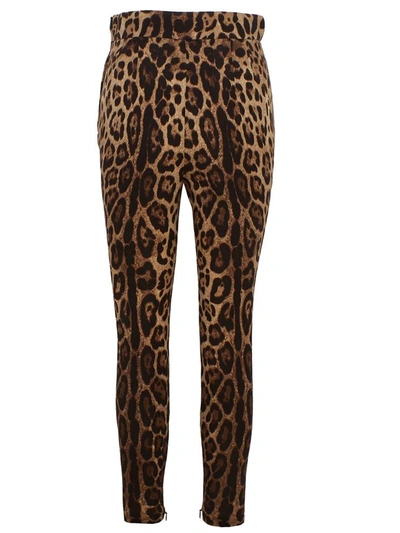 Shop Dolce & Gabbana Leopard-print Pants In Brown