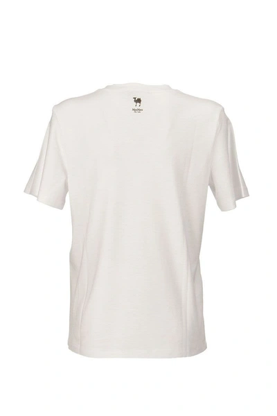 Shop Max Mara S Maxmara Saletta - Cotton Jersey T-shirt In White