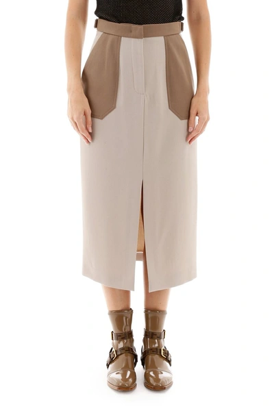 Shop Fendi Pencil Skirt In Folk