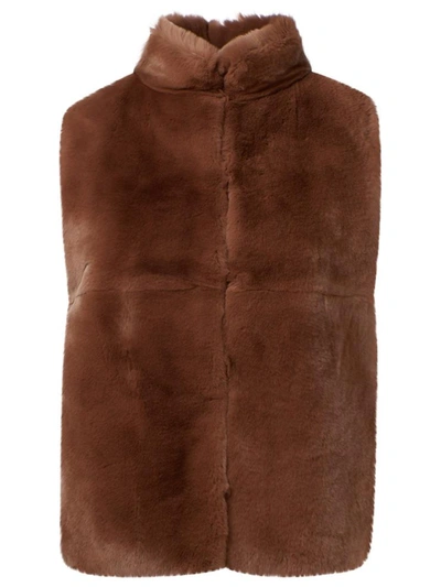 Shop Peserico Gilet  Marrone In Brown