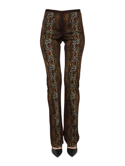 Shop Versace Pants With Python Print In Multicolour