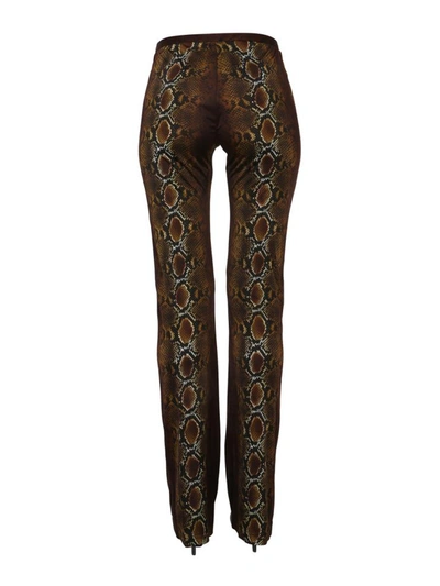 Shop Versace Pants With Python Print In Multicolour