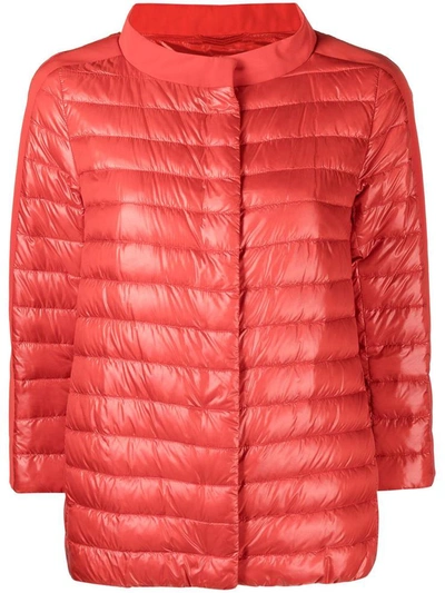 Shop Herno Coats Red