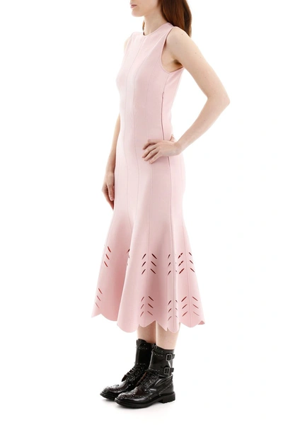Shop Alexander Mcqueen Knit Midi Dress In Blush Pink