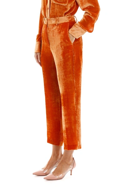 Shop Sies Marjan Velvet Trousers In Dusty Orange