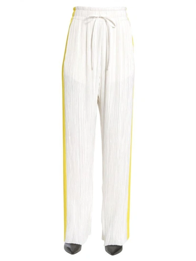 Shop Haider Ackermann Pleated "canis" Trousers In Multicolour