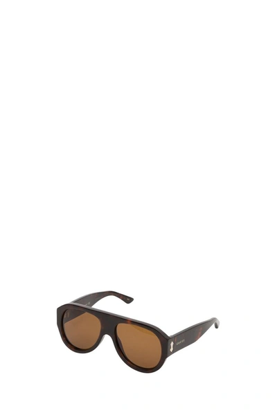 Shop Gucci Aviator Acetate Sunglasses In Brown