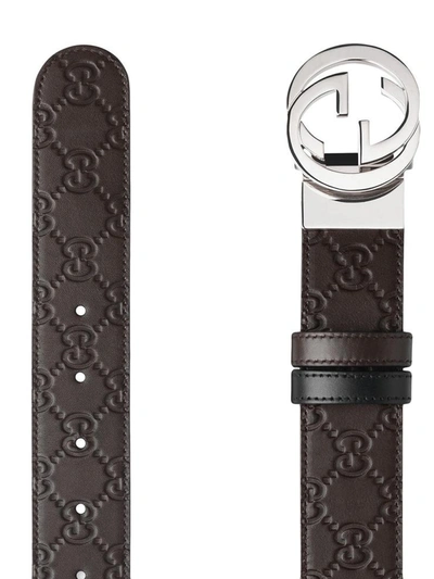 Shop Gucci Belts Brown