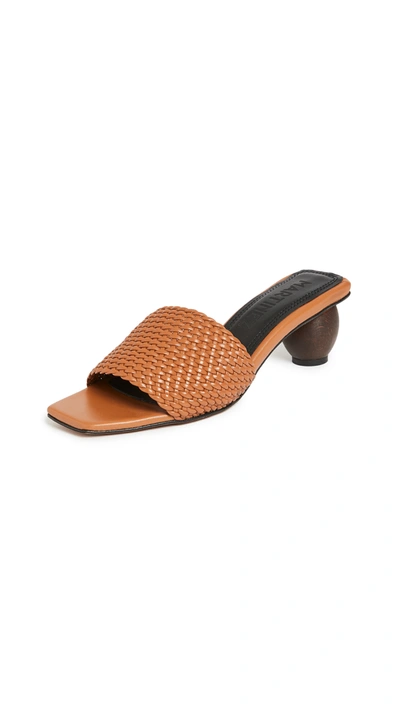 Shop Souliers Martinez 55mm Celia Dama Sandals In Tierra